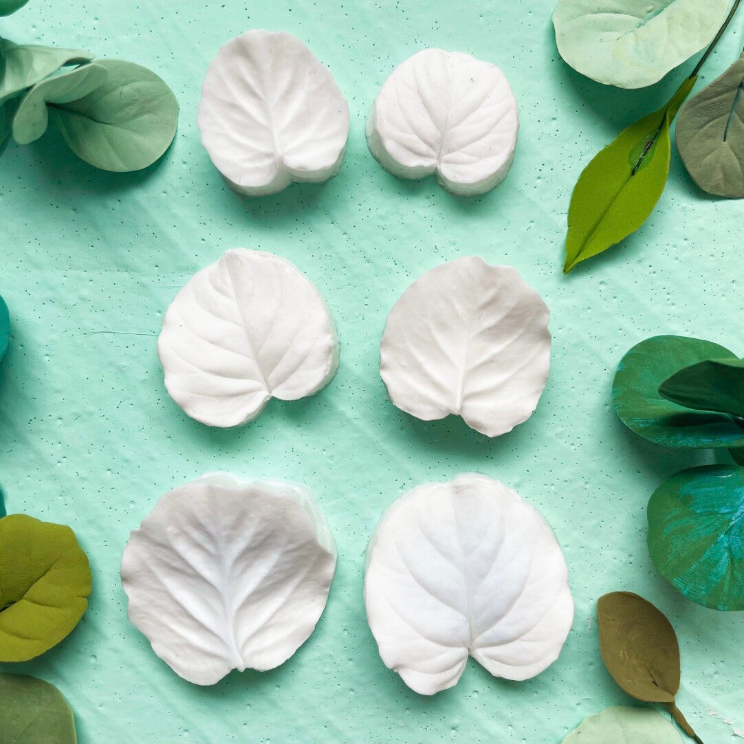 Leaf Mold Set for Clay (6 Pcs) – Detailed Silicone Molds for Flower Making & Handmade Crafts
