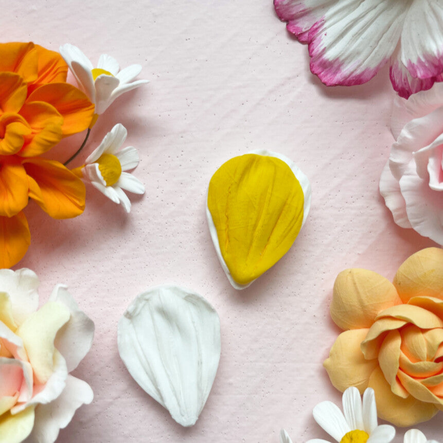 Various Petal & Leaf Silicone Molds Set – Realistic Flower Molds for Clay, Resin & DIY Craft Projects